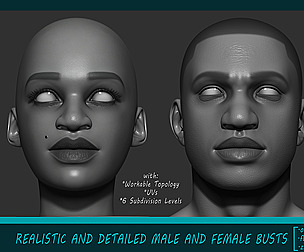 Realistic Bust Basemeshes