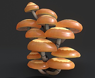 Sheathed Woodtuft Mushrooms Set