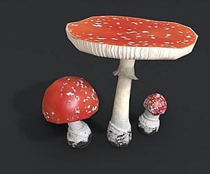 Fly Amanita Set