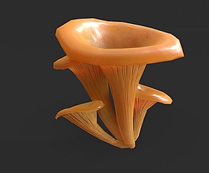 Jack-O-Lantern Mushrooms Set