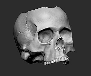 SKULL POT