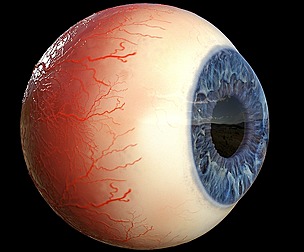 Eye Realistic
