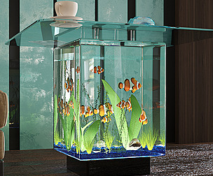Aquarium