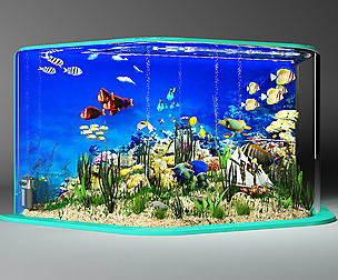 Aquarium