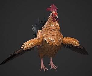 Chicken Rooster