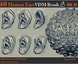 60 Human Ears VDM Brush + Video How To Use