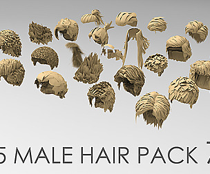 25 male hair pack 7