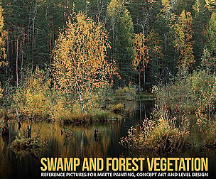 590+ Swamp Forest Vegetation Reference Pictures