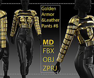 Golden Armor & Leather Pants #8
