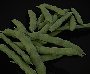 Fava Beans