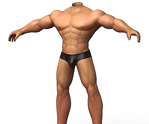 Male Base Mesh