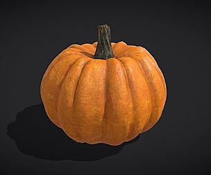Field Pumpkin