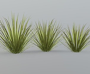 Long Grass