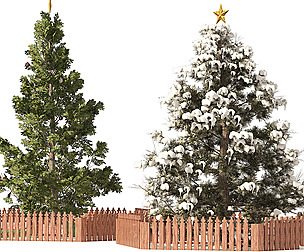 2 outdoor Christmas trees with wood fence