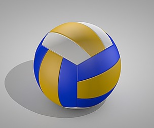 Volleyball