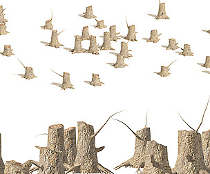 Tree stump field