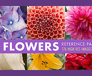 Flower Reference Pack
