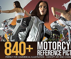 840+ Motorcycle Reference Pictures