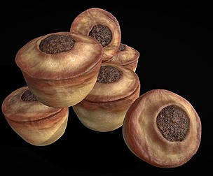 Classic Medieval Mince Meat Pies