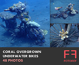 48 photos of Coral Overgrown Underwater Bikes