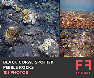 101 photos of Black Coral Spotted Pebble Rocks