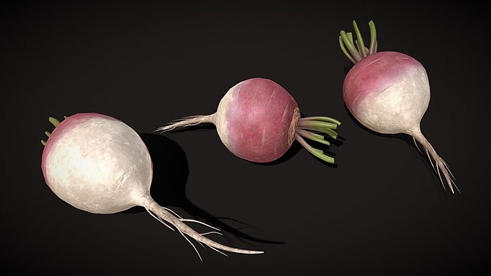Purple Top White Globe Turnips