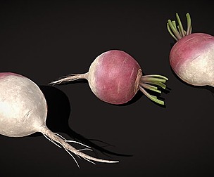 Purple Top White Globe Turnips