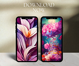 iPhone Lock Screen Wallpapers, IPhone Wallpapers