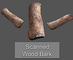 Wood Bark Low Poly