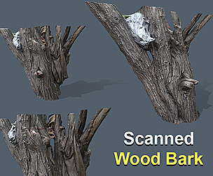 Wood Bark Low Poly