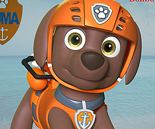 Zuma- Paw Patrol