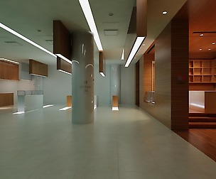 Office 036