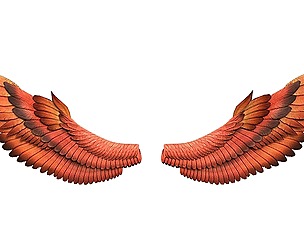 Fantasy Red Wings