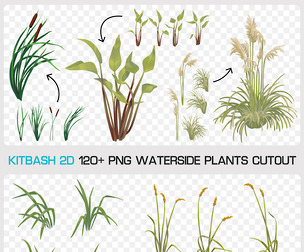 WATERSIDE PLANTS CUTOUT - Kitbash 2D