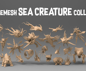 25 basemesh sea creature collection