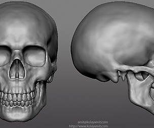 Skull Ztool