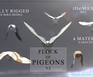 Flock of Birds - Pigeons - Rigged