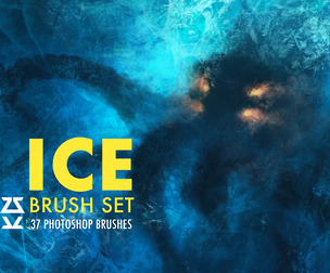 Ice Brush Set