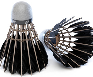 Shuttlecock