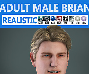 Adult Male Brian