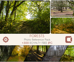 Forests - Photo Reference Pack