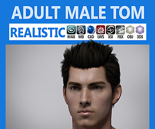 Adult Male Tom