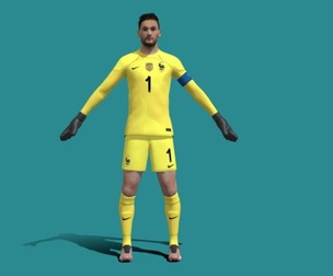 3D Rigged Hugo Lloris France Worldcup 2022