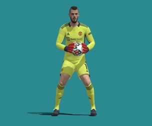 3D Rigged David De Gea