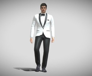 Elegant man rigged