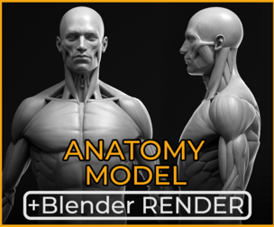 Anatomy male ecorche + RENDER SCENE