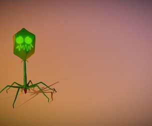 microbe 3 - bacteriophage