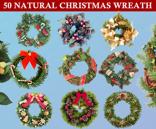 50 Natural Merry Christmas Wreath Isolated