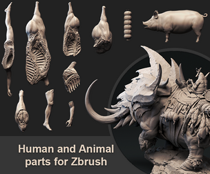 Human and Animal Parts for Zbrush