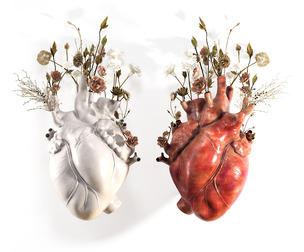 Wall Heart Vase